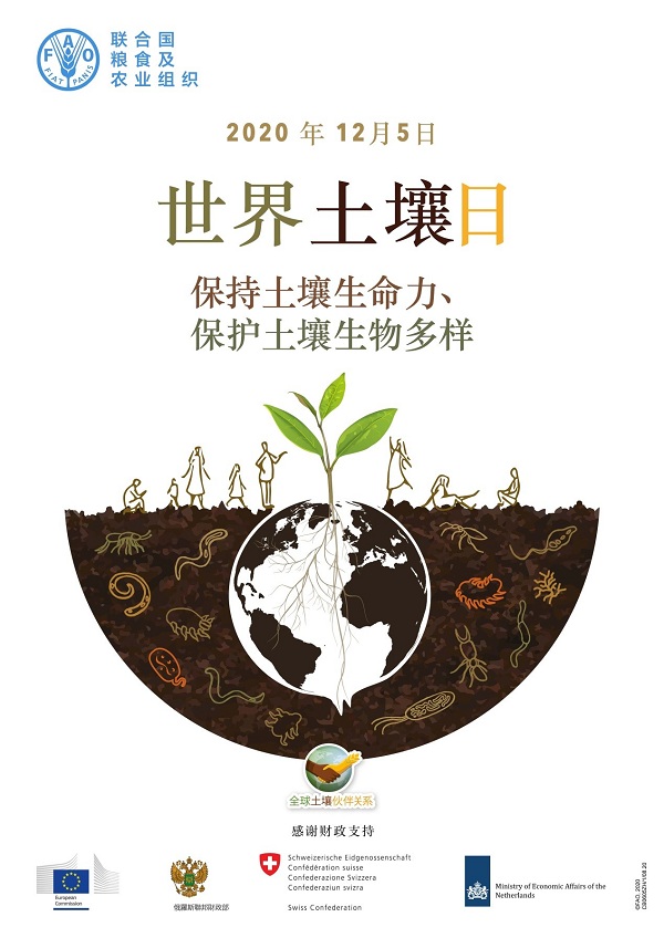 42ad26cf0fc64cbf90fc4319bacebd19.jpg 1.jpg